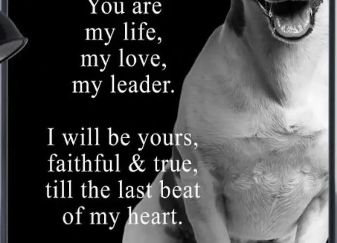 Apartmán Camera B&B Hotel Parma